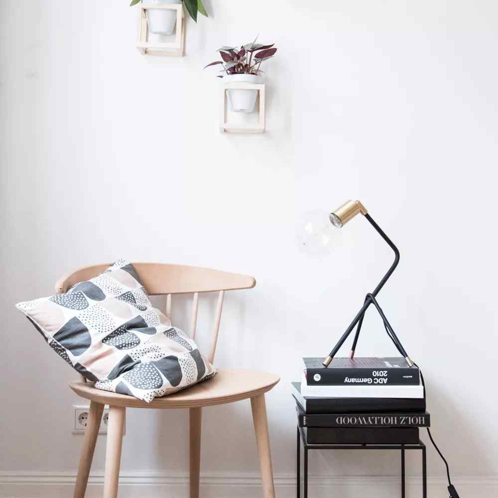 Supor pentru plante suspendate