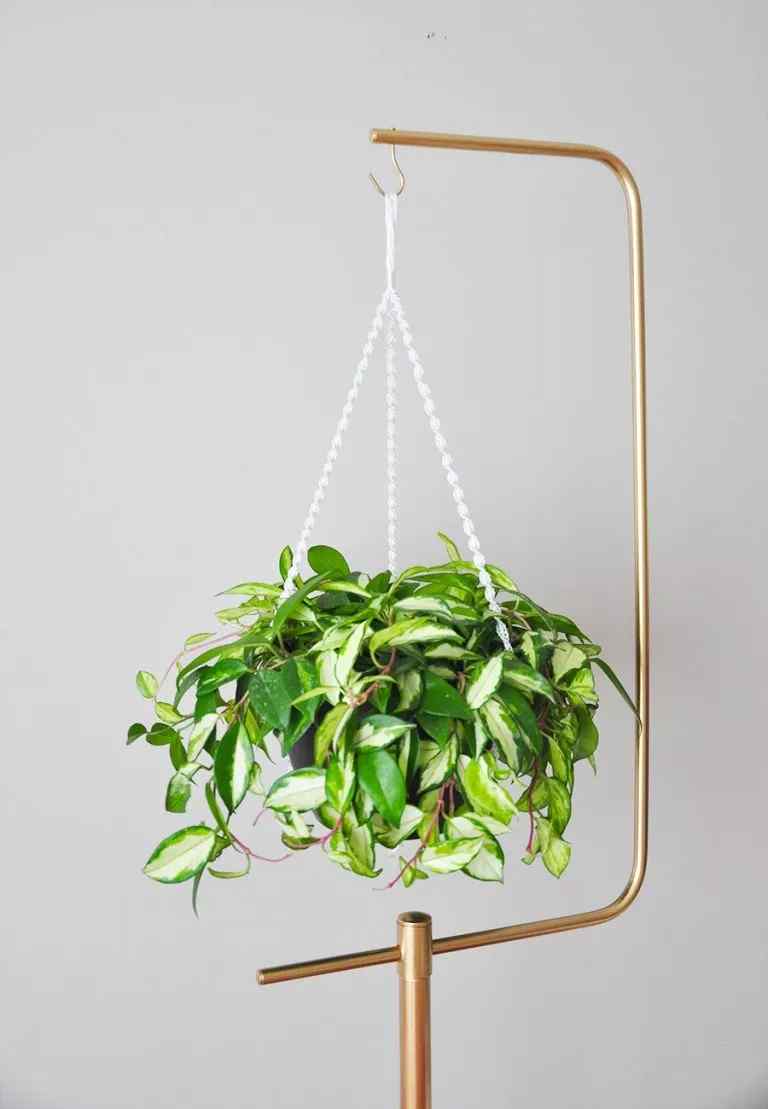 Suport suspendat din țeavă, pentru plante