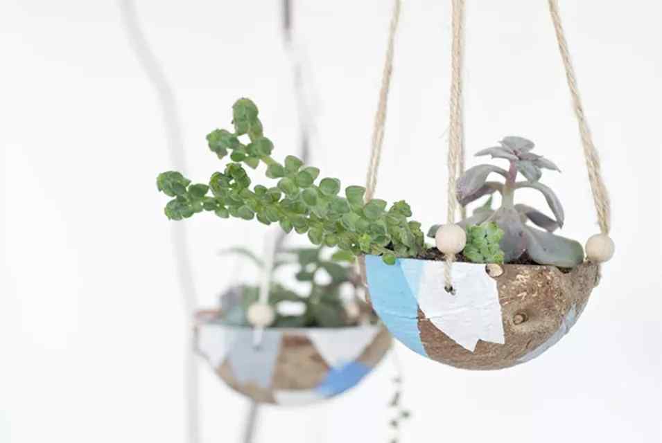 Suport de agățat cu nucă de cocos