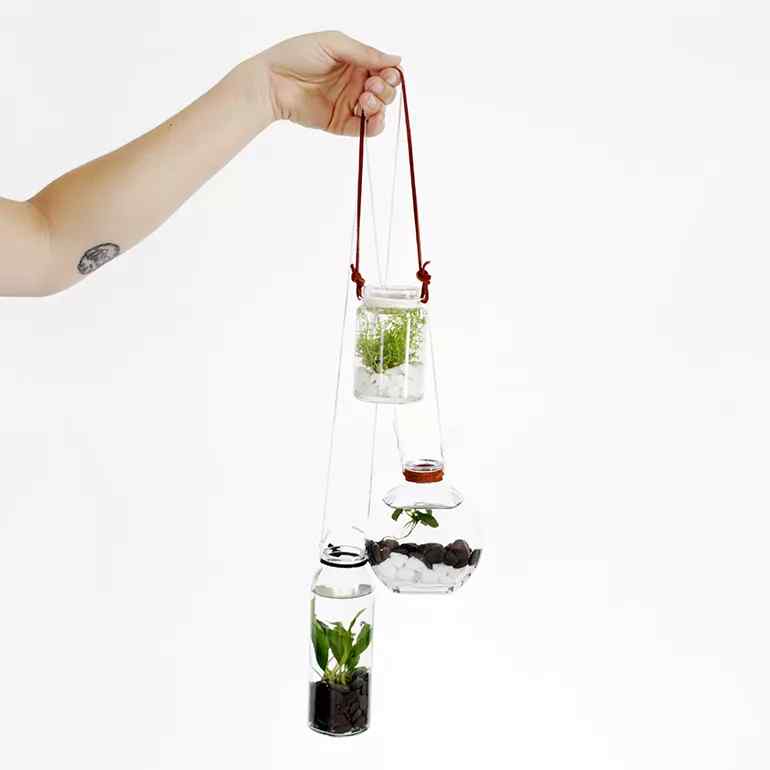 Grădină cu apă suspendată